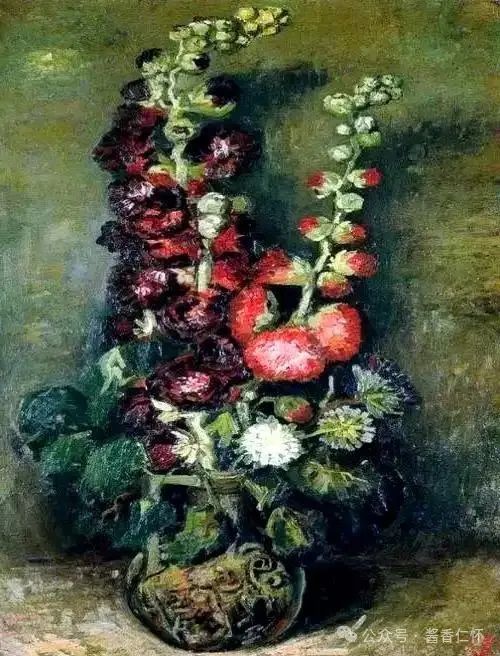 『仁怀物种』如今正是蜀葵时(图5)