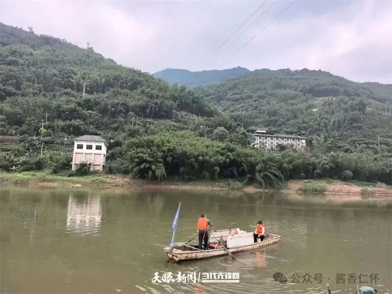 呼唤长江鲟归来!从野外灭绝到赤水河野外自然产卵孵化何以实现重生?(图3) 呼唤长江鲟归来!从野外灭绝到赤水河野外自然产卵孵化何以实现重生?(图3)