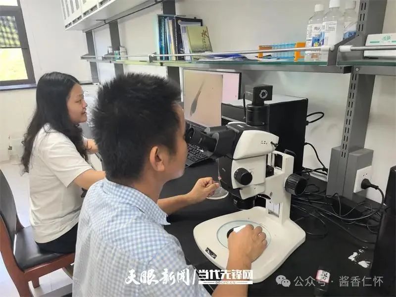 呼唤长江鲟归来!从野外灭绝到赤水河野外自然产卵孵化何以实现重生?(图5) 呼唤长江鲟归来!从野外灭绝到赤水河野外自然产卵孵化何以实现重生?(图5)