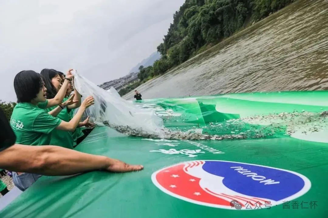 当一条鱼第二次游回赤水河(图5)