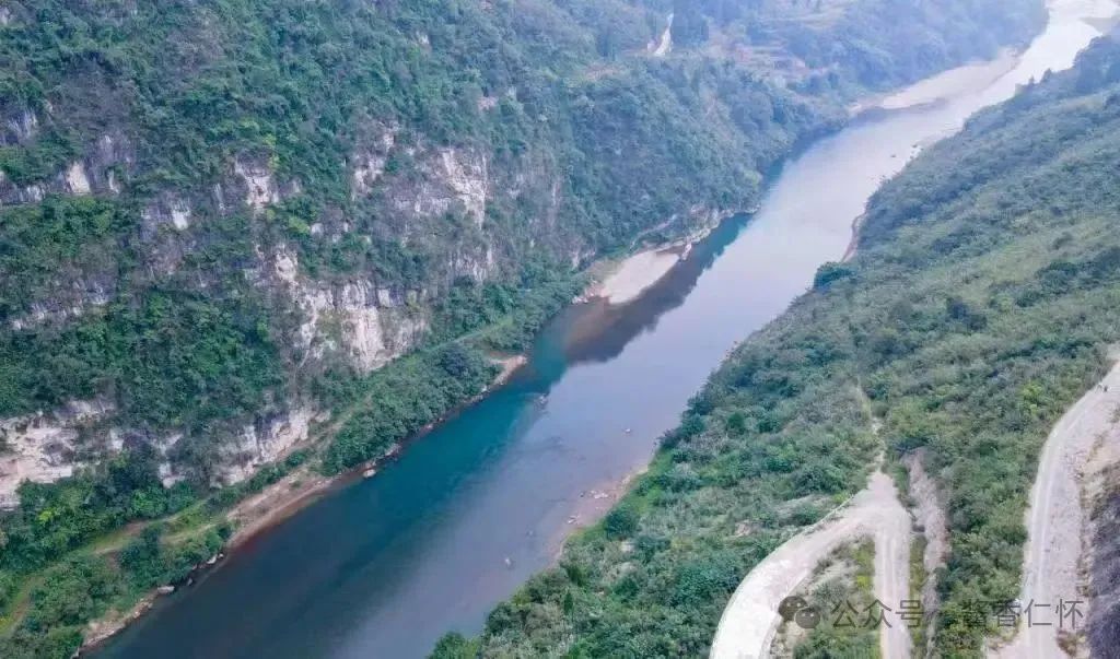 文史中的仁怀高粱(图2)