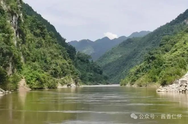 文史中的仁怀高粱(图4)