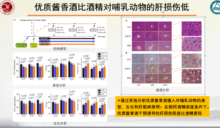 方程：优质酱香酒能调节肠道菌群平衡