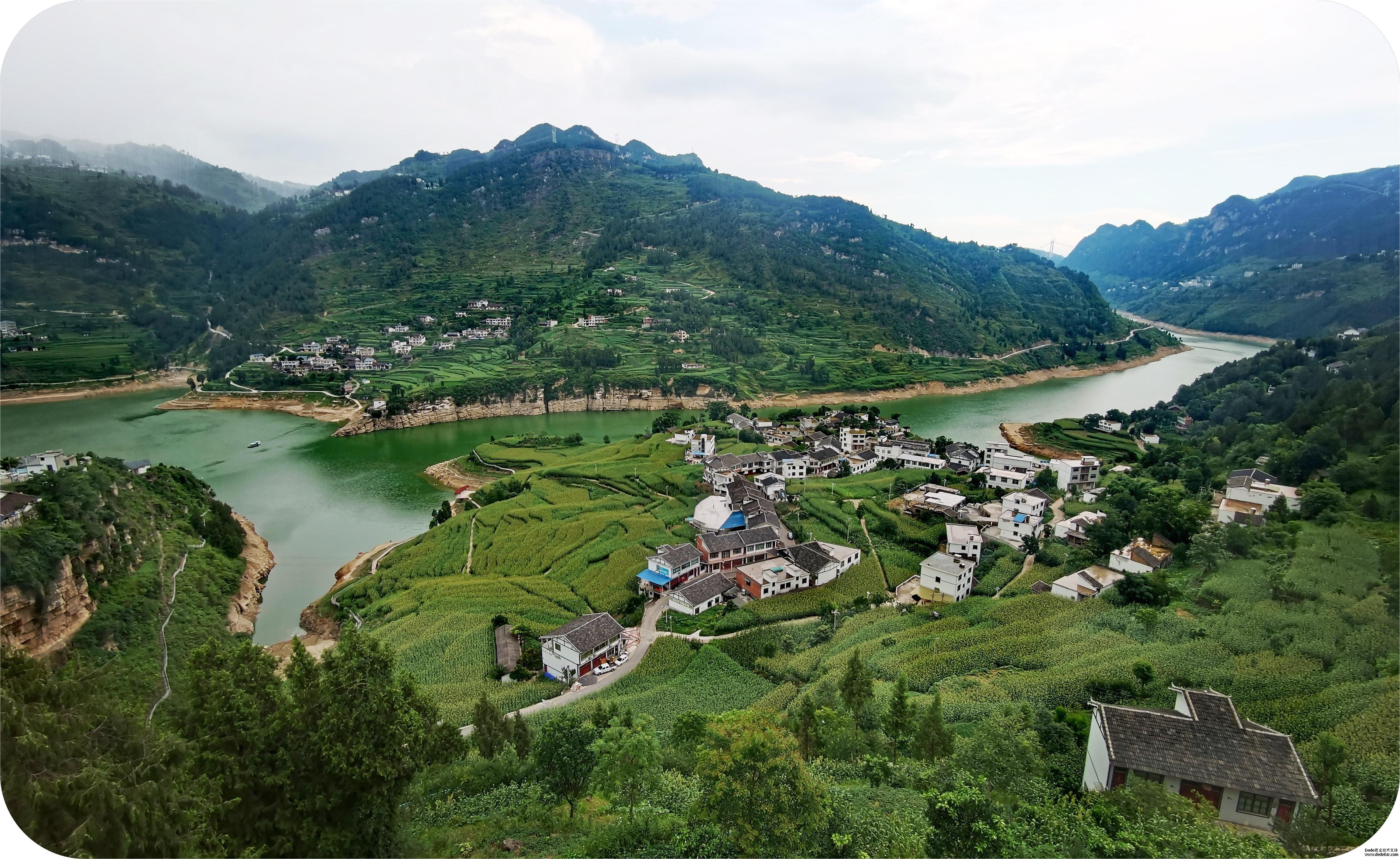 正是河谷高粱扬花时(图3)