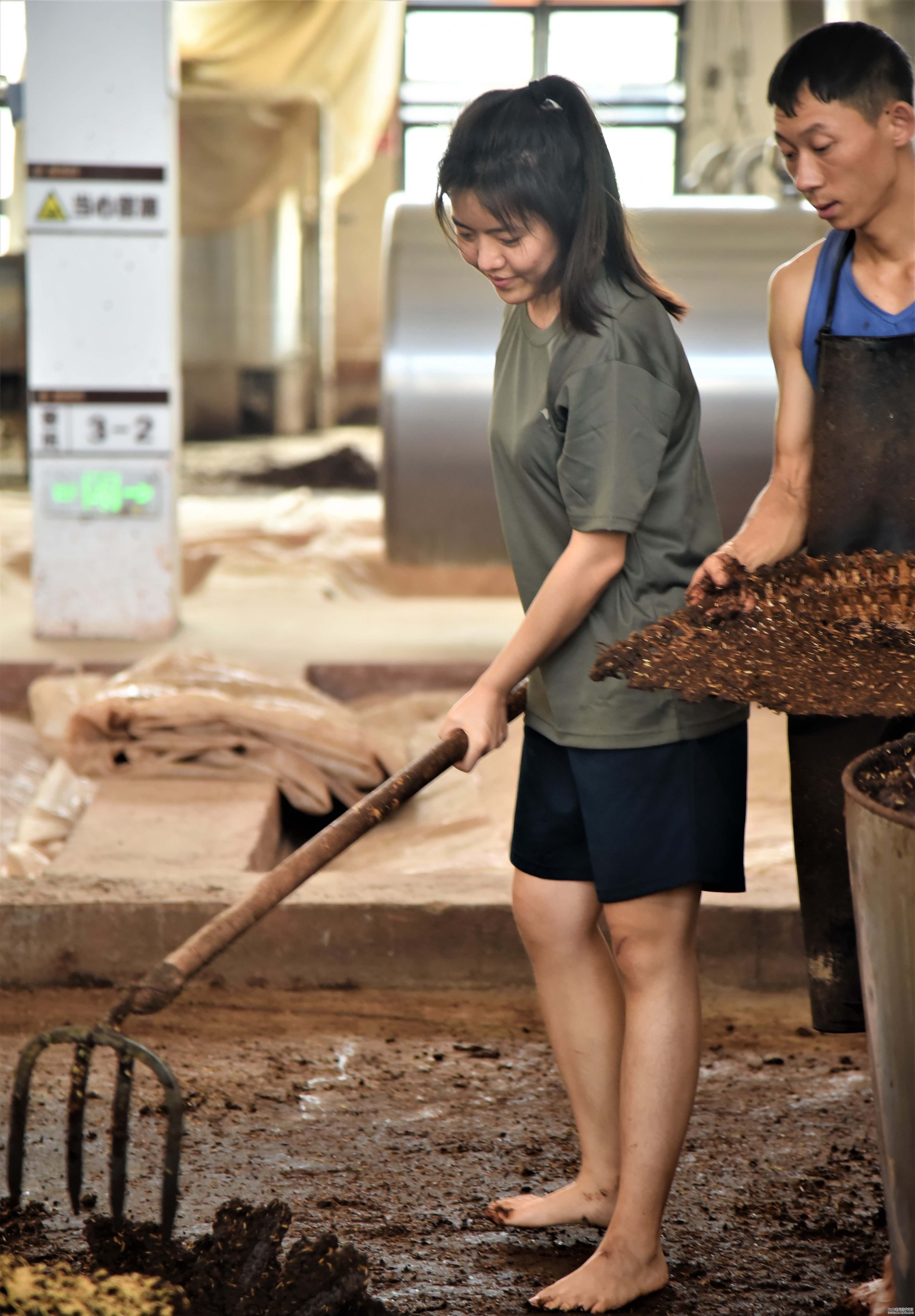仁怀酱酒集团：营销人员进车间铲酒糟(图3)