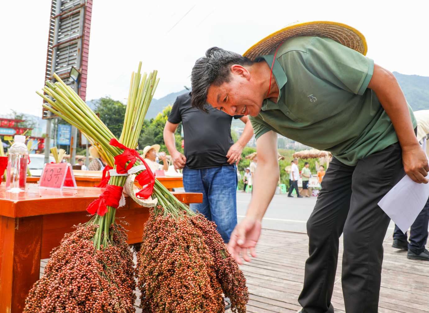 雷文权：36载钻研成果 汇成一首《高粱生产二十四节气气候农事歌》