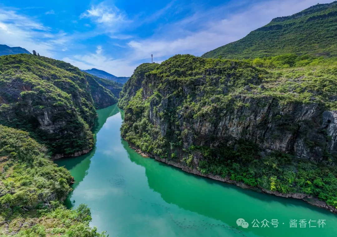 八十余米空中 拍到桐梓河大鱼群(图1)