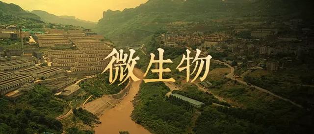 为什么离开茅台镇酿不出地道酱香酒？(图1)