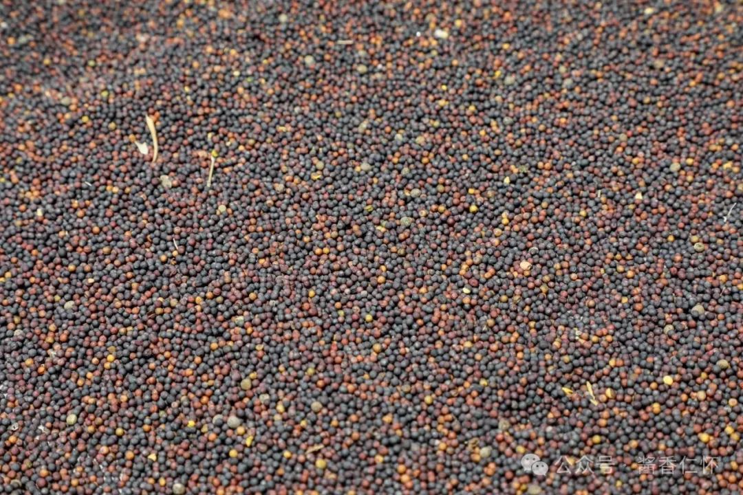 【寻仁迹】木榨塘的记忆(图2) 【寻仁迹】木榨塘的记忆(图2)