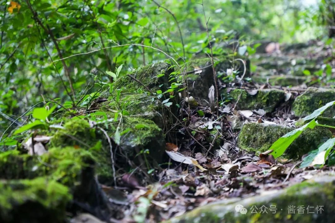 【寻仁迹】洞口“抢盐”事件(图2) 【寻仁迹】洞口“抢盐”事件(图2)