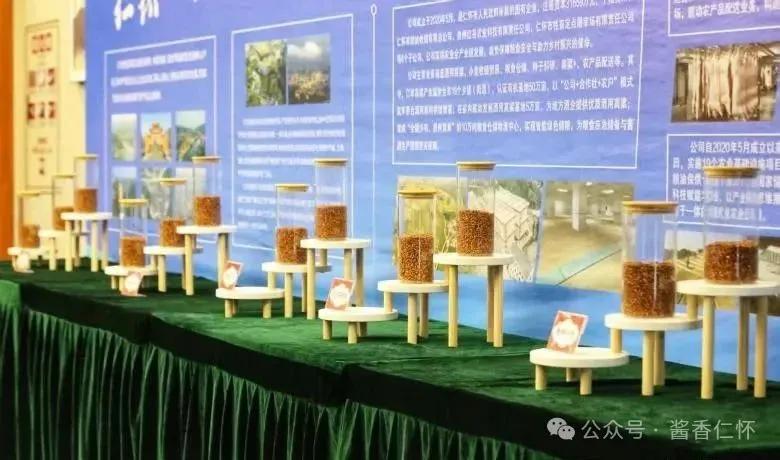 世界各地主要高粱品种 亮相仁怀高梁归仓仪式活动现场(图1)