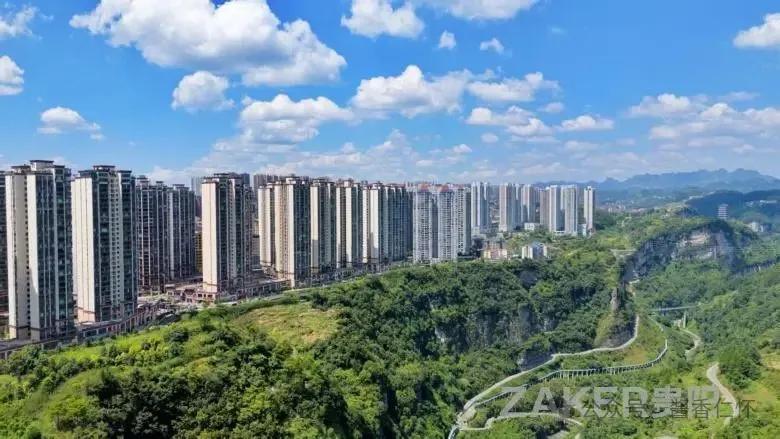 一粒高粱的仁怀旅程：从精神图腾到千亿酱酒产业链的共富密码(图9)