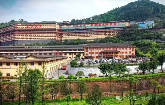 【岁末年初产区行】逆势破局 夜郎古酒业2025年实现多市场突破(图1) 【岁末年初产区行】逆势破局 夜郎古酒业2025年实现多市场突破(图1)