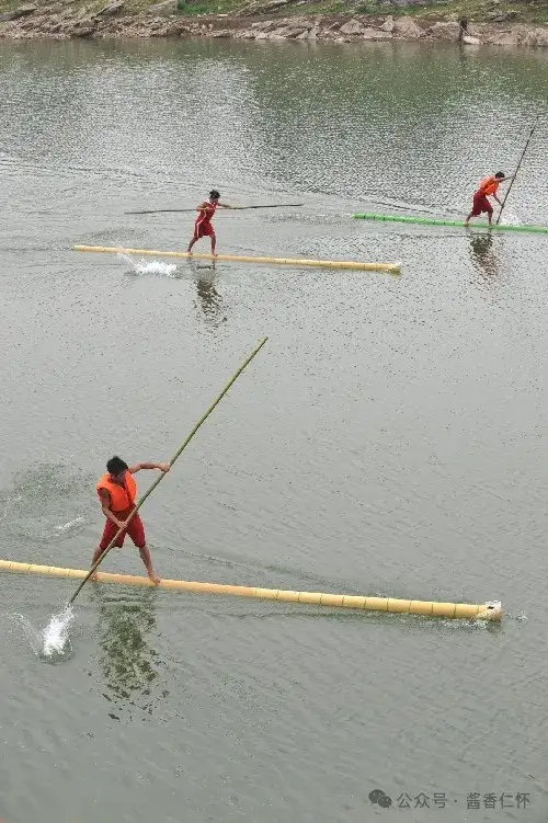 『仁怀物种』楠竹:自然馈赠里的生活哲学(图5) 『仁怀物种』楠竹:自然馈赠里的生活哲学(图5)