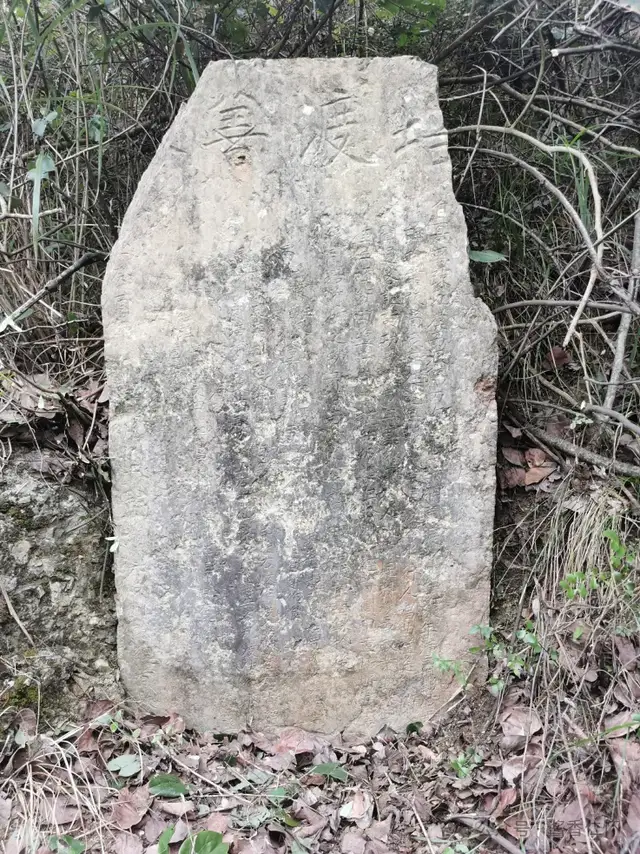 【寻仁迹】龙井新渡(图3) 【寻仁迹】龙井新渡(图3)