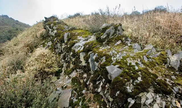 【寻仁迹】芦竹山寻访记(图6) 【寻仁迹】芦竹山寻访记(图6)