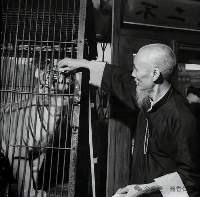 『仁怀物种』赤河虎踪(图4) 『仁怀物种』赤河虎踪(图4)